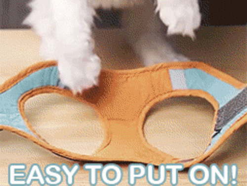 Reflective Cat Harness & Leash Set