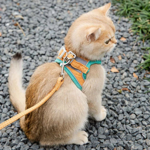 Reflective Cat Harness & Leash Set